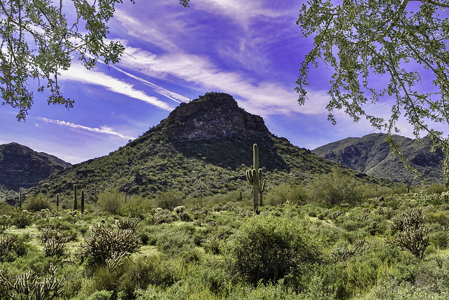 scenery on White Tank Mountains Arizona - 2010