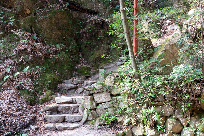 登山道の入口