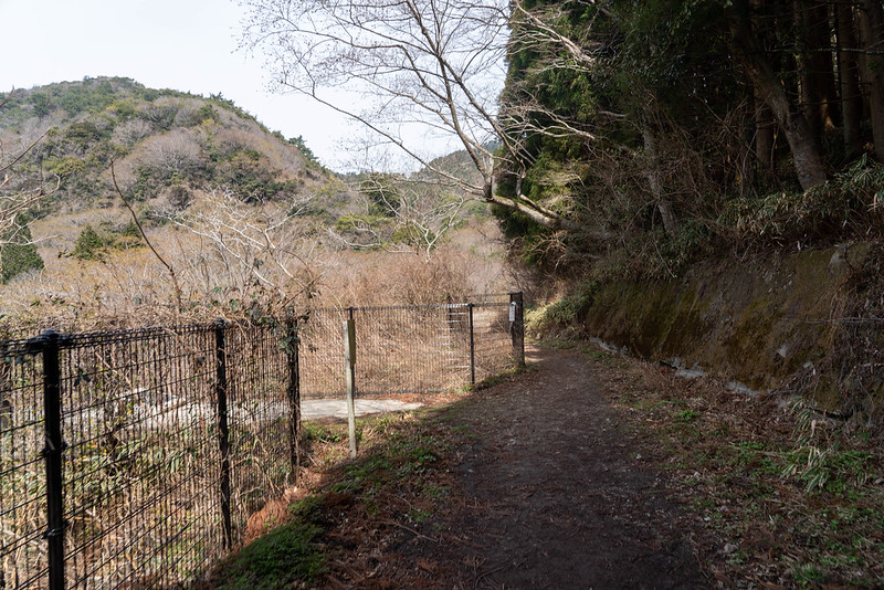 六甲山の王道コース