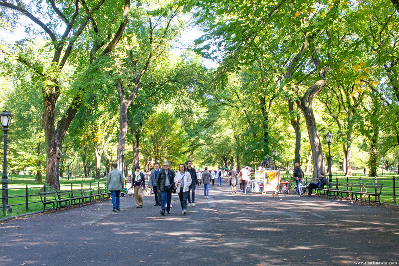 Central Park, viaggio a New York