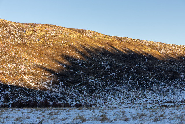 Coulee Shadows, Big Hill Springs, January 2023