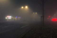 Foggy Night