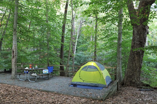 Campsite set up with green 2-person tent, a picnic table with cups and a cooler on it, a blue camp chair set up and heavily forested woods in the background