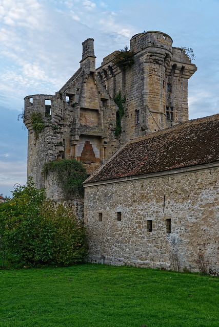 Donjon de Houssoy - Château de Crouy sur Ourcq - Seine et Marne