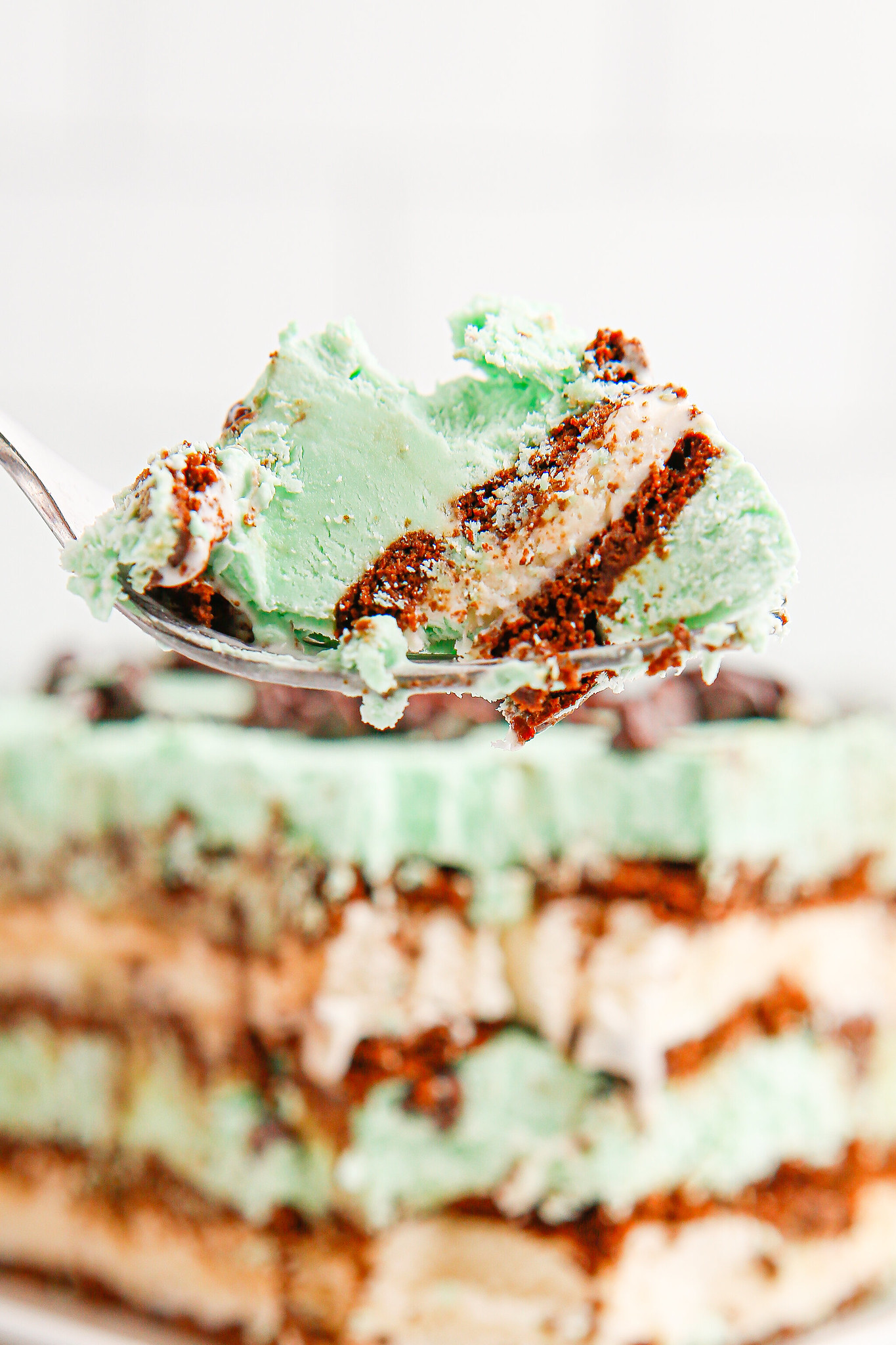 A bite of mint chocolate ice cream cake on a spoon with the rest of the cake in the background