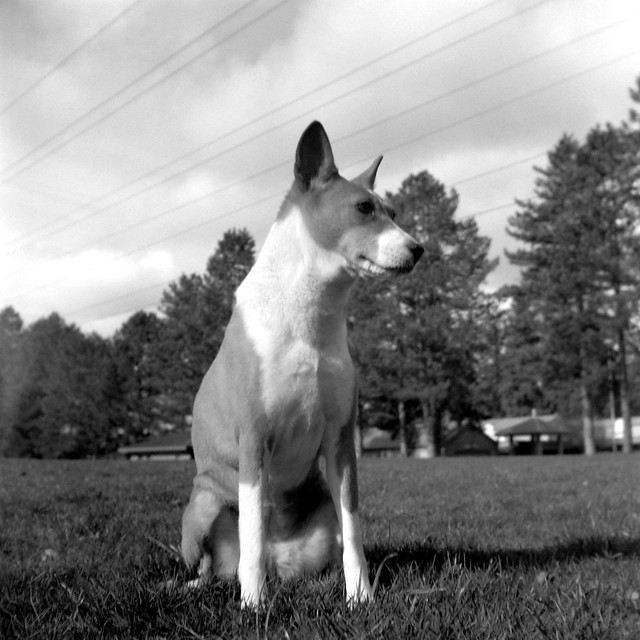 Rachael at the Park