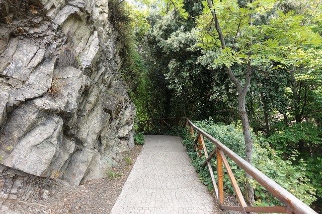 Tbilisi Botanical Garden