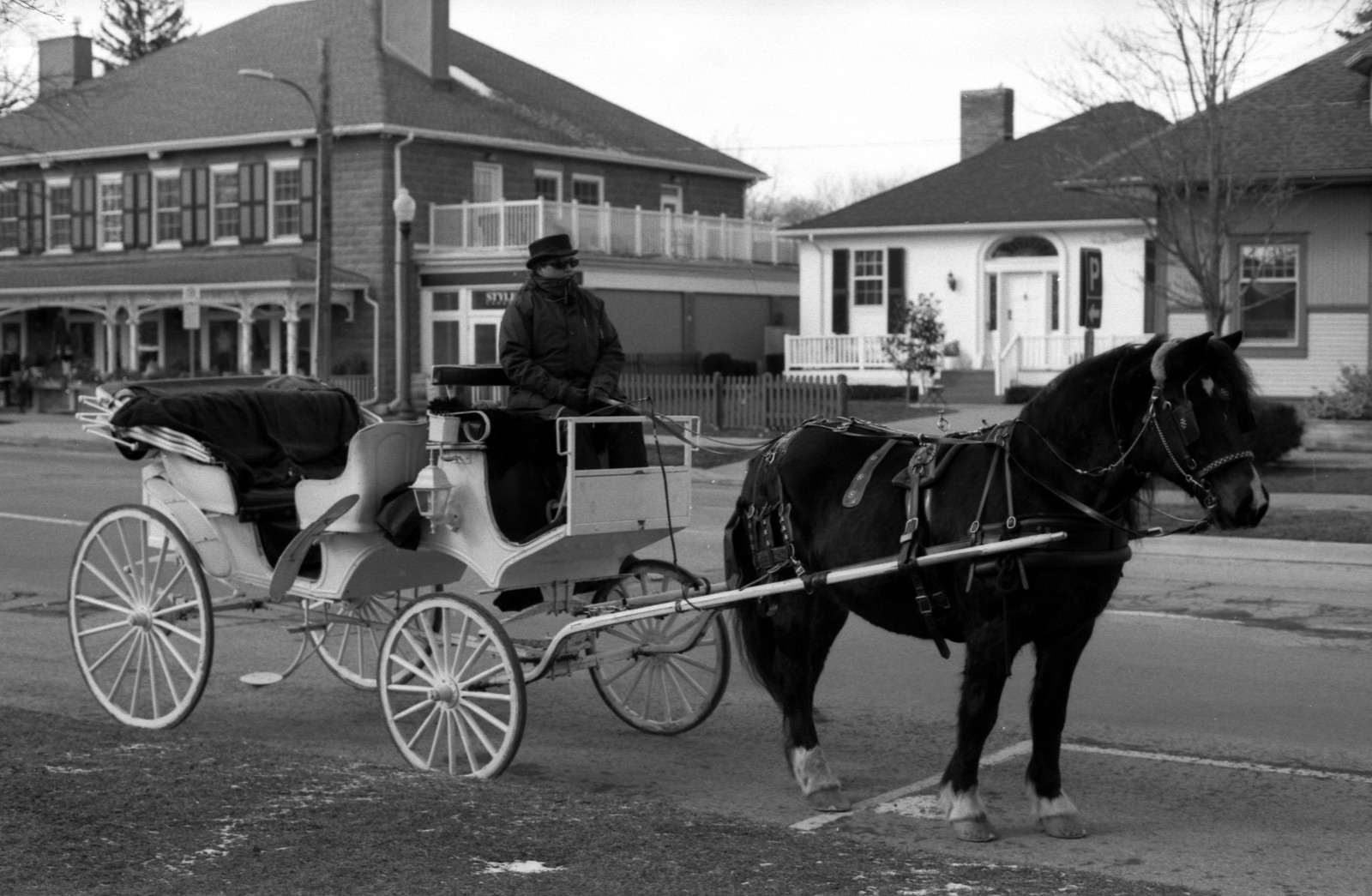 NOTL Horse and Buggy Waiting for Riders