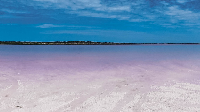 Pink Lake (2) | Hutt Lagoon, Yallabatharra, Western Australia, Australia