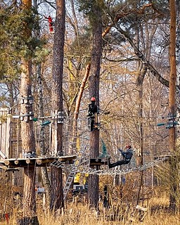 🎼"Ein Männlein hängt im Walde ..."🎶 Und ein weiteres sitzt auf 'nem Netz und das dritte steht im Steiger.