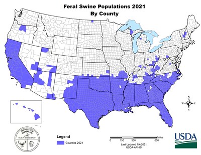 Map of United States with counties shaded in where feral hogs are reported in 2021.