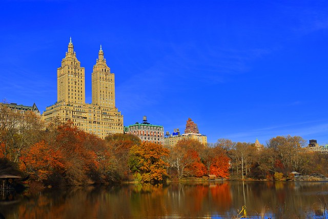 IMG_4614_1 - Autumn in New York. Central Park.