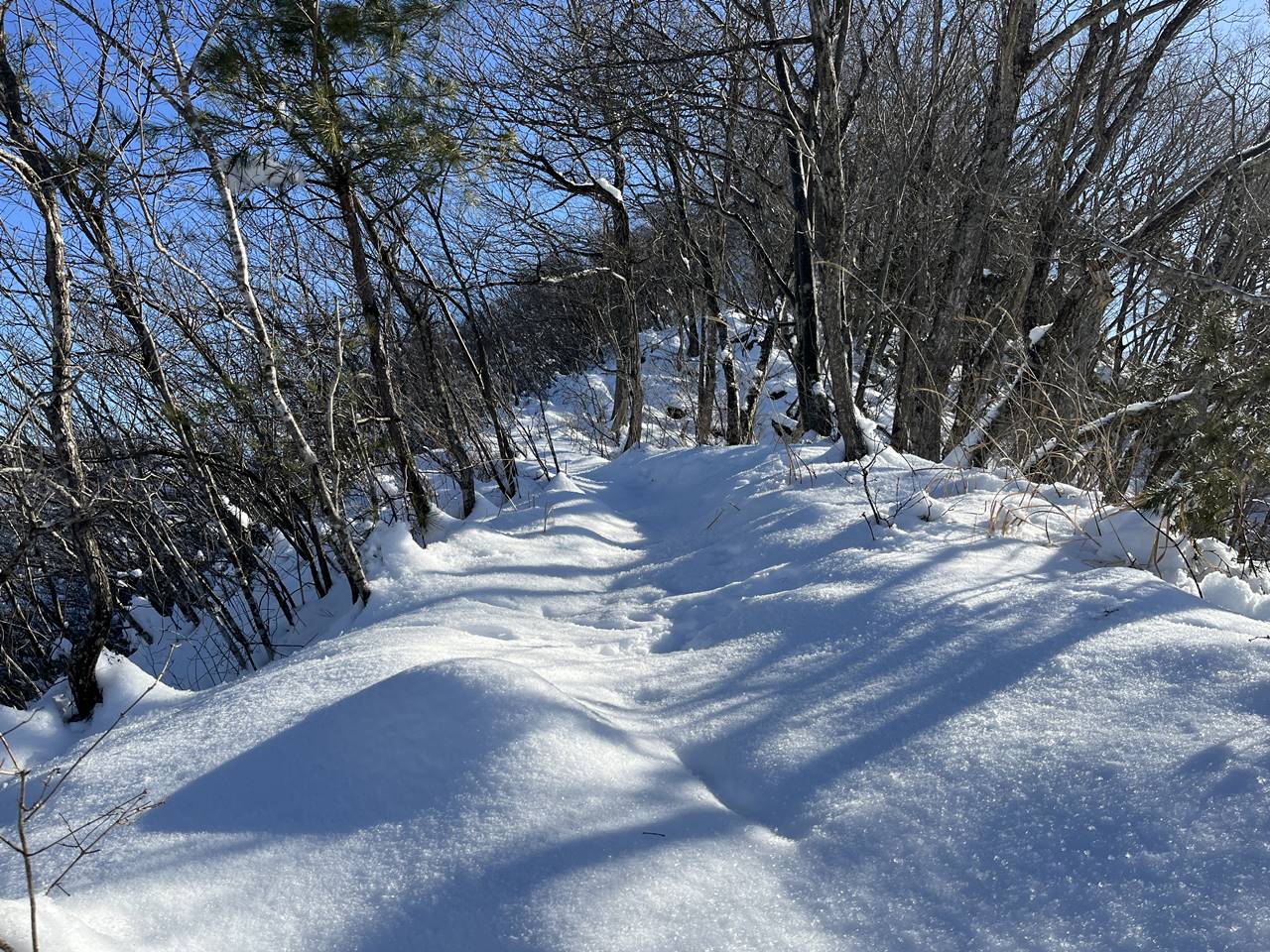 【山梨】菊花山 大月駅から登る雪山登山