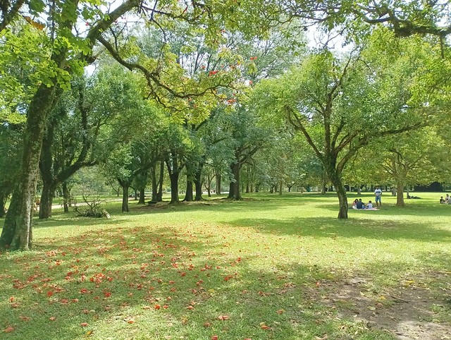 Parque do Ibirapuera em São Paulo-SP