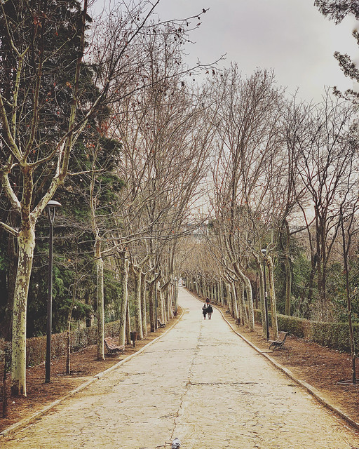 Postal de Invierno. Parque Quinta de los Molinos, Madrid.