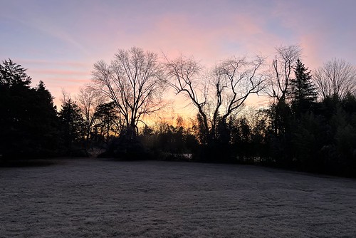sunrise trees frost morning whitehouse station nj readington pink