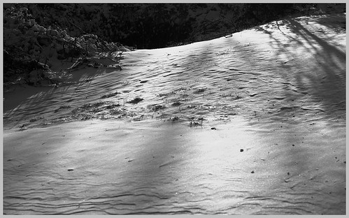 unitedstatesofamerica usa oregon tualatin swmartinazziave nybergcreek creek foliage snow ice winter monochrome bw blackandwhite blackwhite samsung samsungnx samsungnx1000 m42 supertakumar50mmf14 takumar supertakumar asahioptical pentax unlimitedphotos