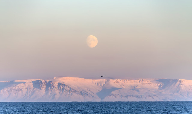 The moon over Mount Esja, South-west of Iceland