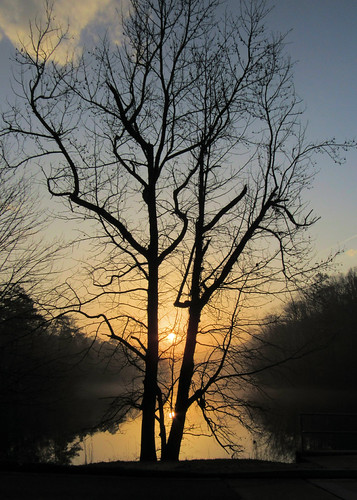 Stone Mountain Park Georgia by John On Time, Sunrisesmileonsaturday treesilhouettes