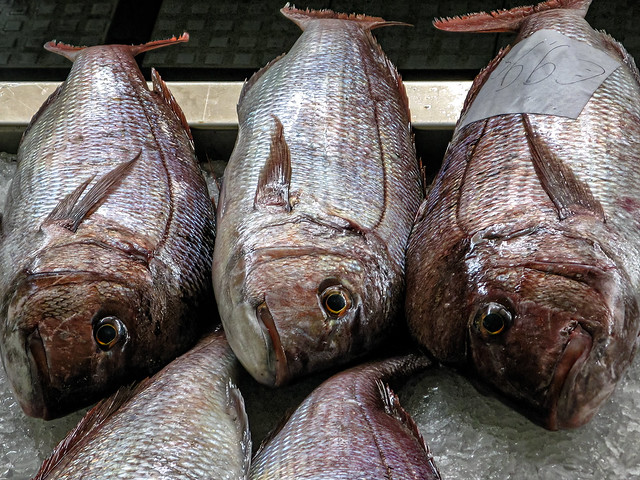 fish market Funchal