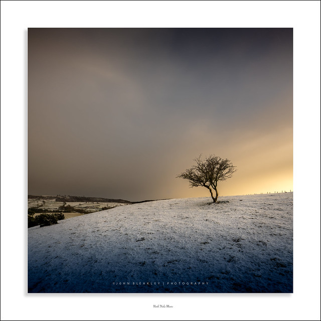 Yorks moors lone tree-flickr