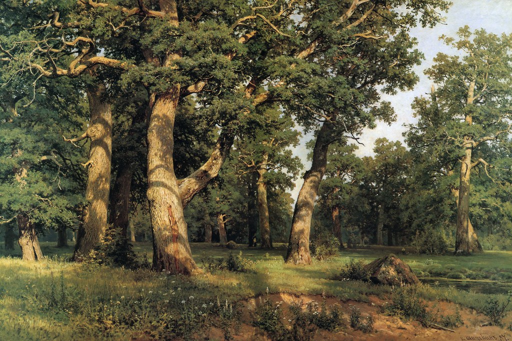 Ivan Shishkin «Oak Grove», 1887
