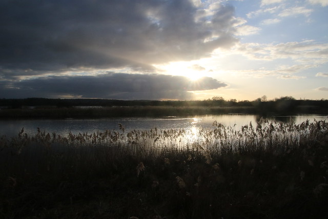 Somerset Wetlands, UK.
