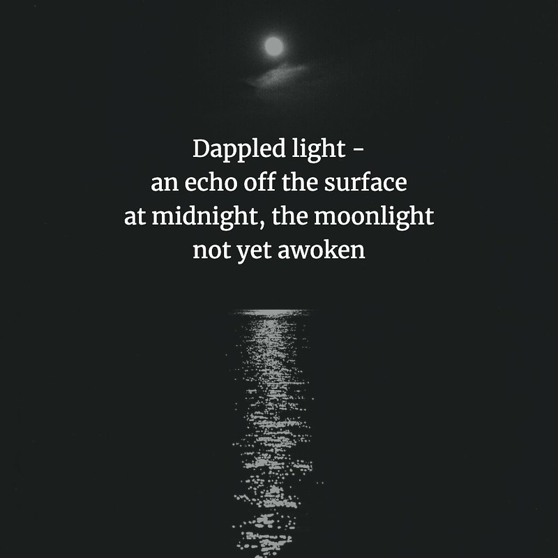 Dappled Moonlight