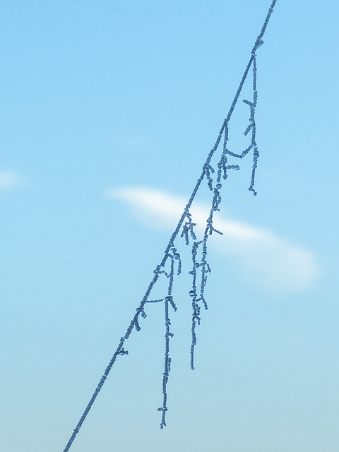 Ice on web strands