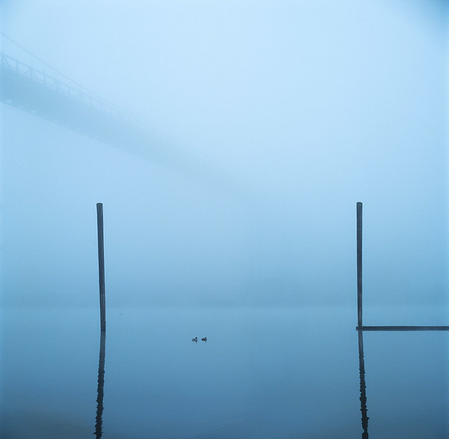 Same Bridge, Different Foggy Morning
