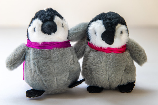 My Antarctica Penguin Pals, Rosie & Olivia