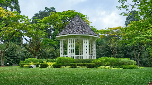Singapore Botanic Gardens-National Orchid Garden - 27 February 2023 - Part 2