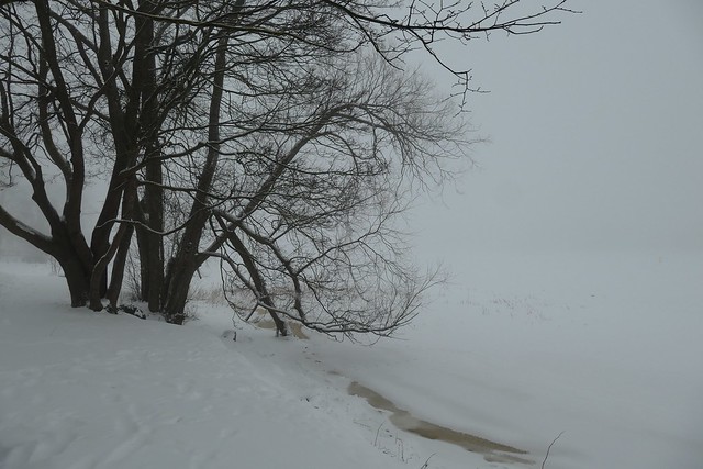 foggy day in Pärnu