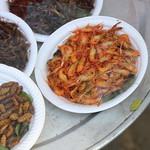 Pupae, Crickets and Crustacea food at Kuang Si, near Luang Prabang, Laos Pupae, Crickets and Crustacea food at Kuang Si, near Luang Prabang, Laos. February 2023.