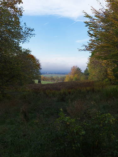 katzelsdorf_20 by rhomboederrippel, View on the sunny fieldsrhomboederrippel fujifilm xe1 october 2022 europe austria loweraustria katze