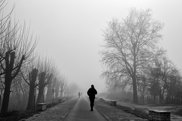 Walk-in-the-fog