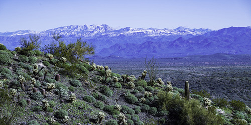 adero aderocanyon aderocanyontrailhead hike hiking morning fountainhills cactus valley mountains snow nikonz9 landscape exercise saguaro