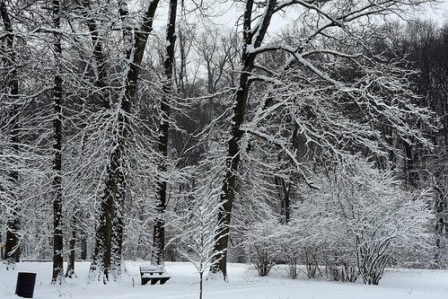 First Measurable Snow Of The 2022/2023 Snow Season In New … | Flickr