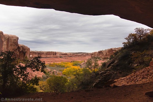 Looking out of the alcove down into Clover Canyon, Arches National Park, Utah