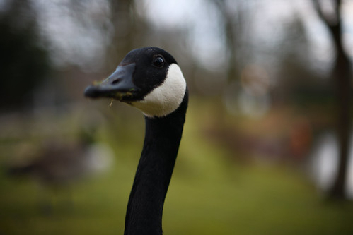 What are you looking at?