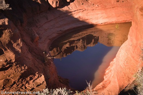 Reflections in a pothole near the mouth of Clover Canyon, Arches National Park, Utah