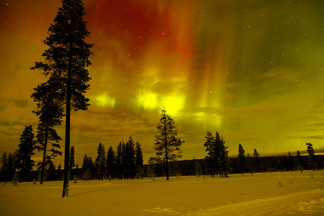 Finnish Lapland  Aurora Borealis February 2023