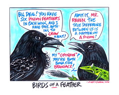 Birds of a Feather