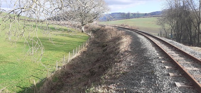 Cleared Embankment Sides
