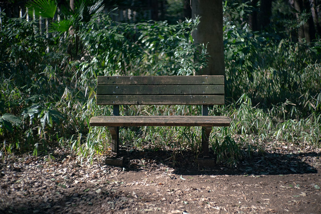 An old bench in Shakujii Park, Tokyo