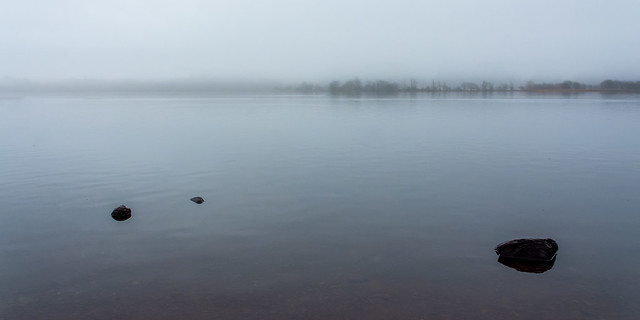 Misty morning, Castle Semple Loch, Lochwinnoch, Renfrewshire, Scotland, UK C2