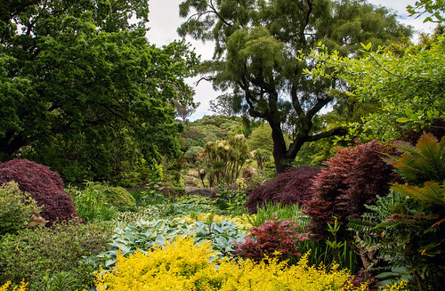 newzealand garden nikon d750