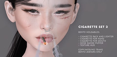 Bento holdables - cigarette pack 2