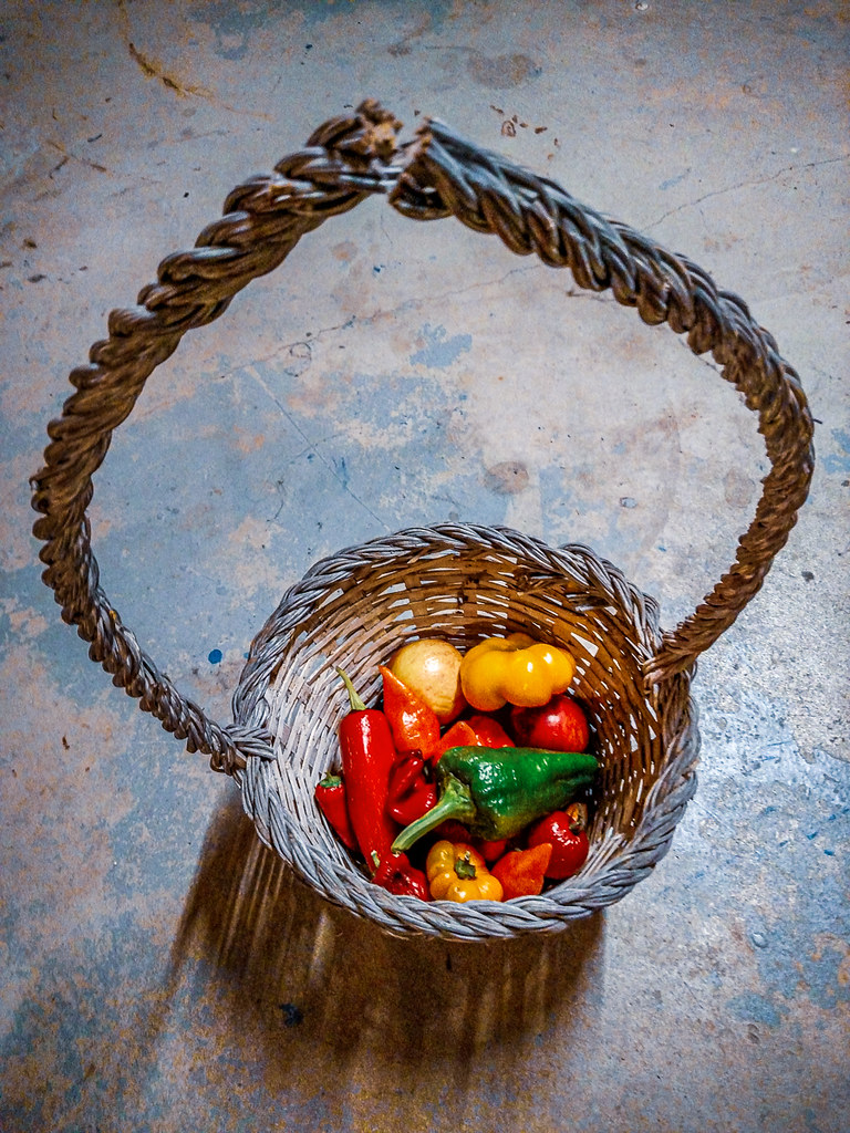 peppers in a basket with a broken handle