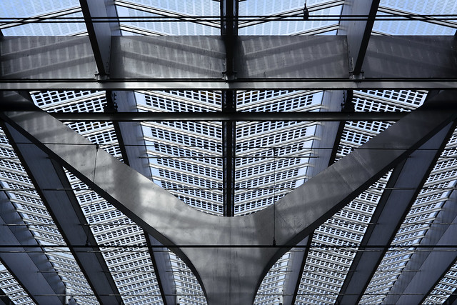 Ceiling of Rotterdam Central Station